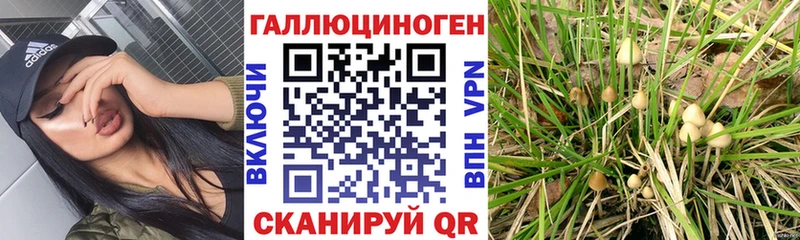 Галлюциногенные грибы MAGIC MUSHROOMS  это телеграм  Эртиль 