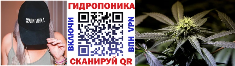 Бошки Шишки Amnesia  Эртиль 